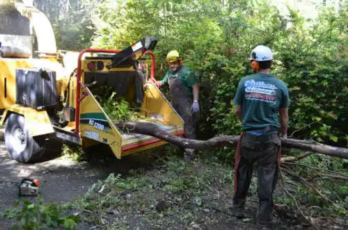 tree services Maryville